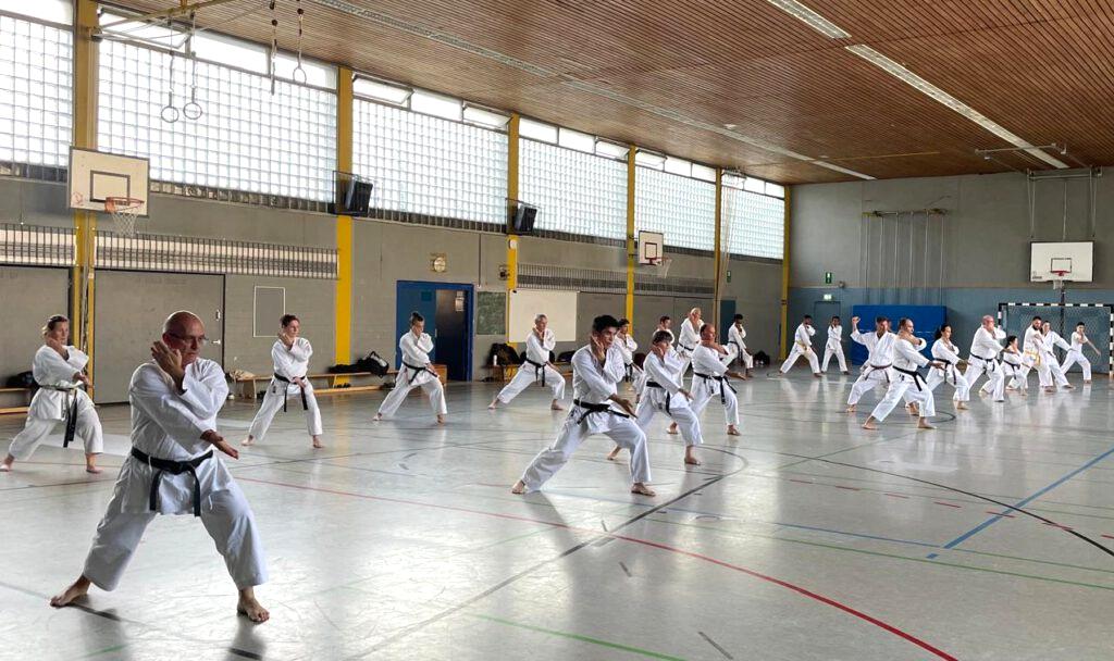 die Mittelstufe ist gefordert: Kata Heian Godan