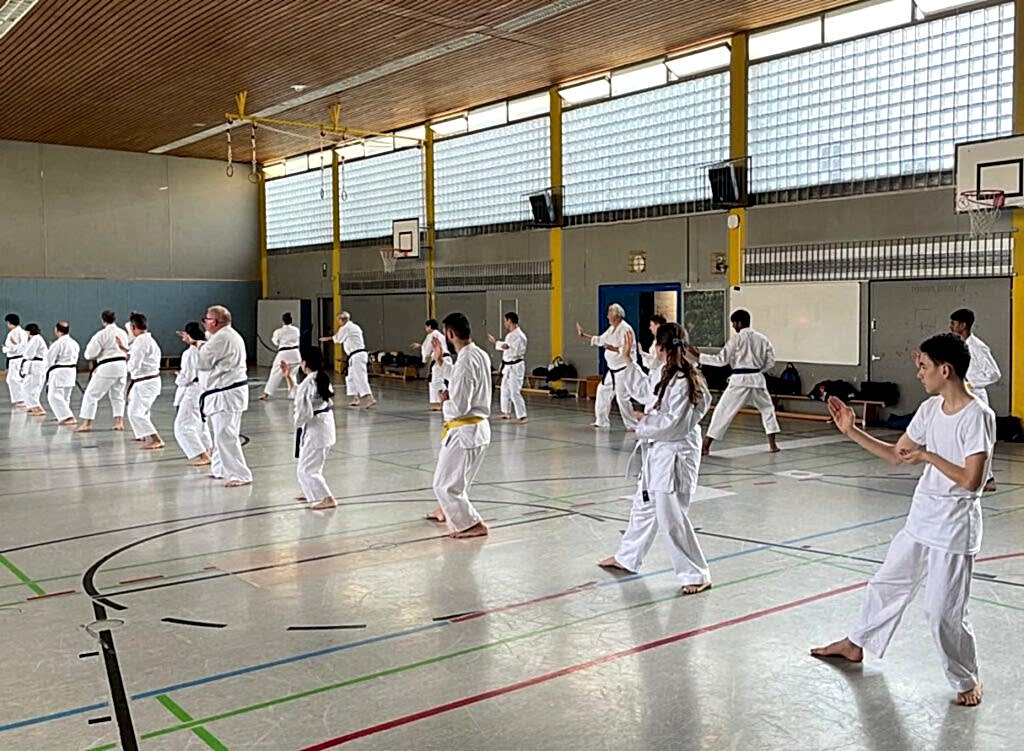 die erste Kata wird geübt